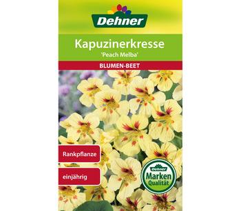 Dehner Samen Kapuzinerkresse 'Peach Melba', Gelb, Dunkelrot
