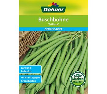 Dehner Samen Buschbohne 'Brilliant'