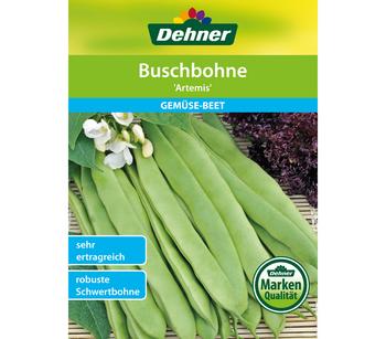 Dehner Samen Buschbohne 'Artemis'