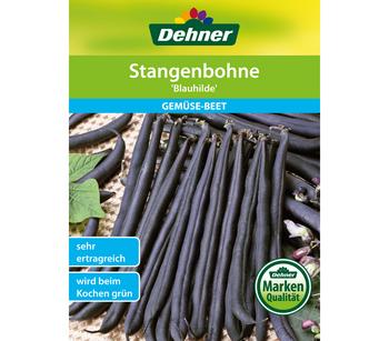 2 x Dehner Samen Stangenbohne 'Blauhilde' - Mindestbestellmenge: 2 Stk.