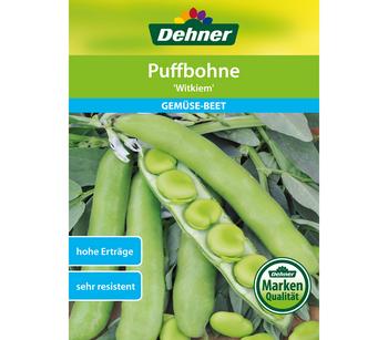 2 x Dehner Samen Puffbohne 'Witkiem' - Mindestbestellmenge: 2 Stk.