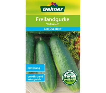 Dehner Samen Freilandgurke 'Delikateß'