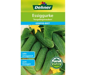 Dehner Samen Essiggurke 'Vorgebirgstrauben'