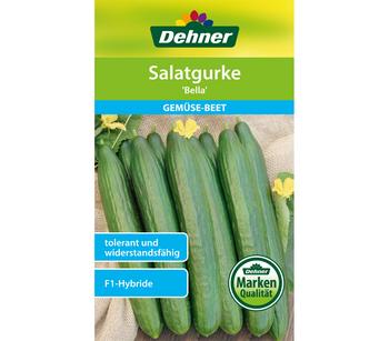 Dehner Samen Salatgurke 'Bella'