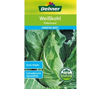 Dehner Samen Weißkohl 'Filderkraut'