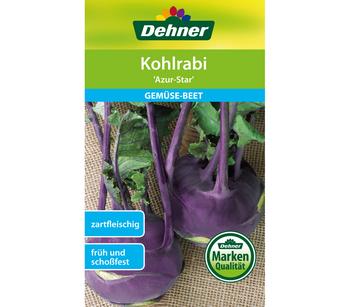 2 x Dehner Samen Kohlrabi 'Azur-Star' - Mindestbestellmenge: 2 Stk.