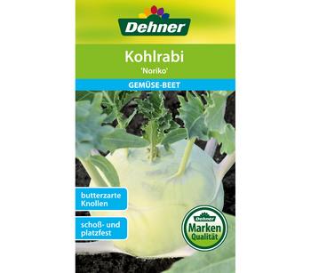 Dehner Samen Kohlrabi 'Noriko'