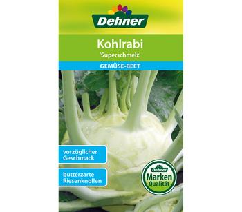 Dehner Samen Kohlrabi 'Superschmelz'