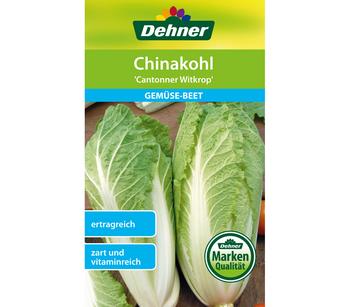 Dehner Samen Chinakohl 'Cantonner Witkrop'