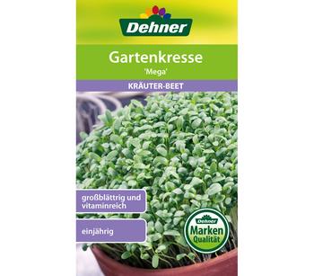 Dehner Samen Gartenkresse 'Mega'