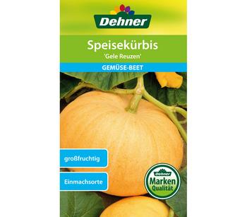 Dehner Samen Speisekürbis 'Gele Reuzen'