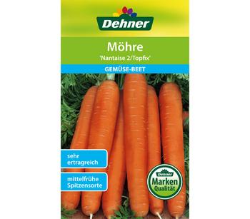 2 x Dehner Samen Möhre 'Nantaise 2/Topfix' - Mindestbestellmenge: 2 Stk.