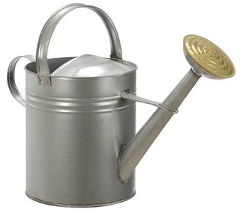 Dehner Blechgießkanne, 9 l, Silber - Stahl