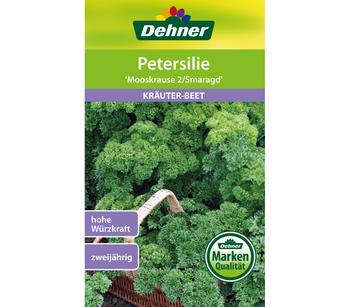 Dehner Samen Petersilie 'Mooskrause 2/Smaragd'