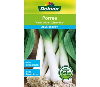 Dehner Samen Porree 'Herbstriesen 2/Hannibal'
