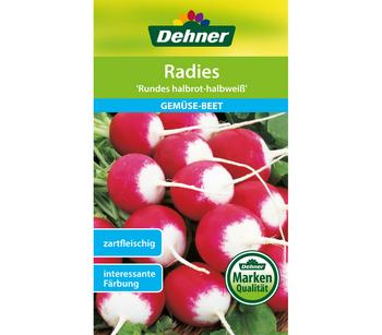 Dehner Samen Radies 'Rundes halbrot-halbweiß'