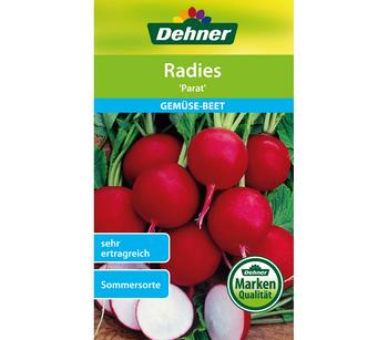 2 x Dehner Samen Radies 'Parat' - Mindestbestellmenge: 2 Stk.