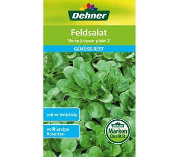 Dehner Samen Feldsalat 'Verte a coeur plein 2'