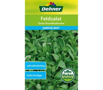 Dehner Samen Feldsalat 'Grote Noordhollandse'