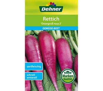 Dehner Samen Rettich 'Ostergruß rosa 2'