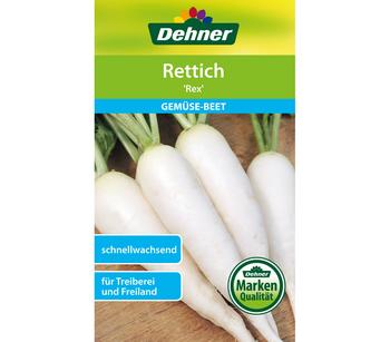 Dehner Samen Rettich 'Rex'