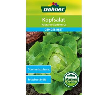 Dehner Samen Kopfsalat 'Kagraner Sommer 2'