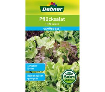 Dehner Samen Pflücksalat 'Fitness Mix'