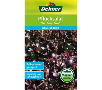 2 x Dehner Samen Pflücksalat 'Red Salad Bowl' - Mindestbestellmenge: 2 Stk.