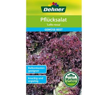 2 x Dehner Samen Pflücksalat 'Lollo rossa' - Mindestbestellmenge: 2 Stk.