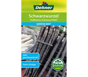 Dehner Samen Schwarzwurzel 'Hoffmanns schwarze Pfahl'