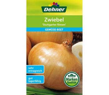 Dehner Samen Zwiebel 'Stuttgarter Riesen'