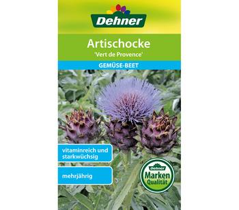 Dehner Samen Artischocke 'Vert de Provence'
