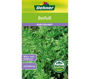 Dehner Samen Beifuß