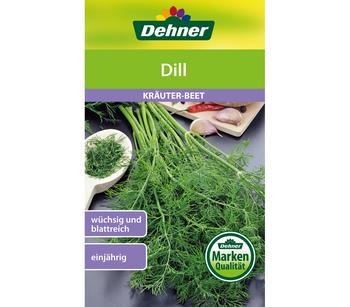 Dehner Samen Dill