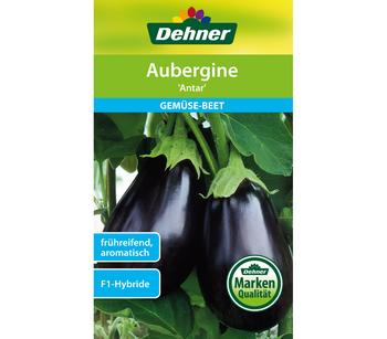 Dehner Samen Aubergine 'Antar'