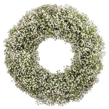 Dehner Kranz Schleierkraut, weiß, ca. Ø36 cm, Weiß / Grün - Naturmaterial
