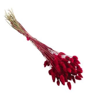 Trockenblumenbund Hasenschwanzgras, pink