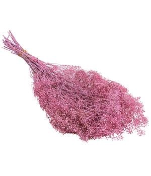 2 x Trockenblumenbund Lupidium, hellrosa von Dehner - Naturmaterial - Mindestbestellmenge: 2 Stk.