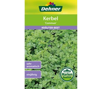 2 x Dehner Samen Kerbel 'Commun' - Mindestbestellmenge: 2 Stk.