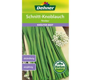 Dehner Samen Schnittknoblauch 'Knolau'