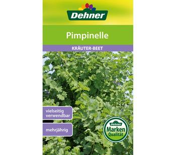Dehner Samen Pimpinelle