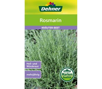 Dehner Samen Rosmarin