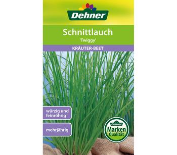 Dehner Samen Schnittlauch 'Twiggy'