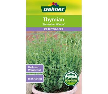2 x Dehner Samen Thymian 'Deutscher Winter' - Mindestbestellmenge: 2 Stk.