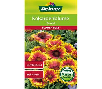 Dehner Samen Kokardenblume 'Kobold'