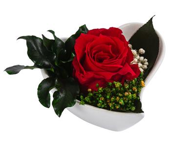 Dehner Herzschale mit Longlife-Rose Aneta, ca. B8/H5 cm