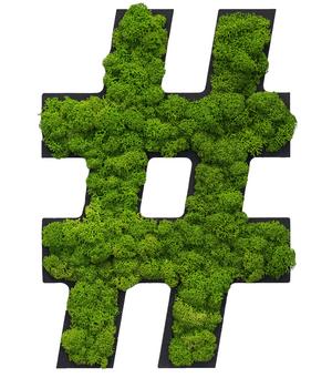 styleGREEN Sonderzeichen 'Hashtag' aus Islandmoos, ca. B20/H25/T3,5 cm, Grün - Moos, Naturmaterial, Holz