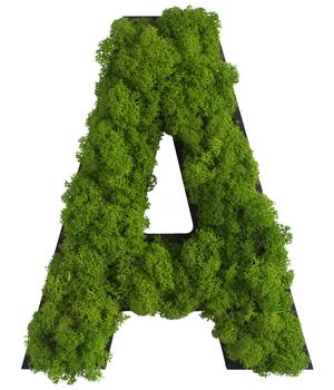 styleGREEN Buchstaben aus Islandmoos, ca. H25 cm, Grün - Moos, Naturmaterial, Holz