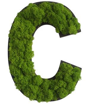 styleGREEN Buchstaben aus Islandmoos, ca. H25 cm