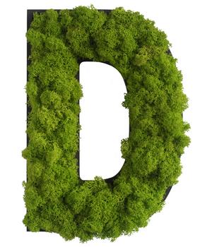 styleGREEN Buchstaben aus Islandmoos, ca. H25 cm, Grün - Moos, Naturmaterial, Holz
